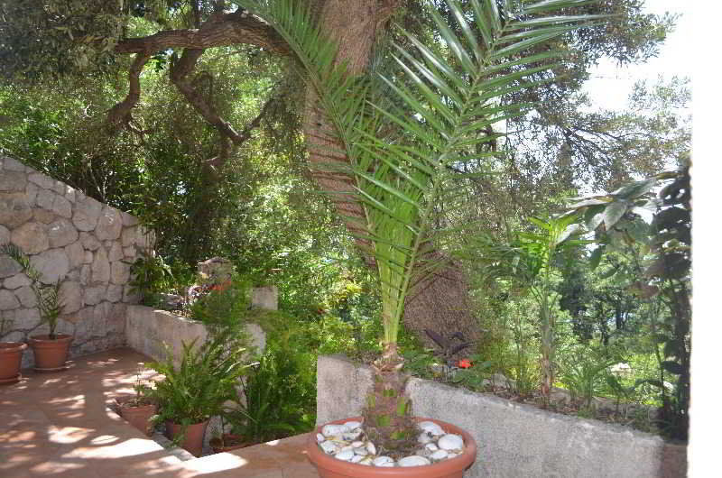 Apartments Martiva Dubrovnik Bagian luar foto